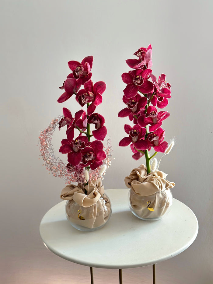 Crescent orchids set